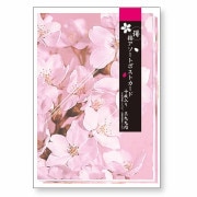 ���������ȥݥ��ȥ�����