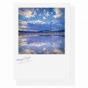 ݥȥ()/Shota 򤱿夬ǤФ