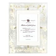 �ܥ��˥���ե졼�� �ۥ磻�ȥե�