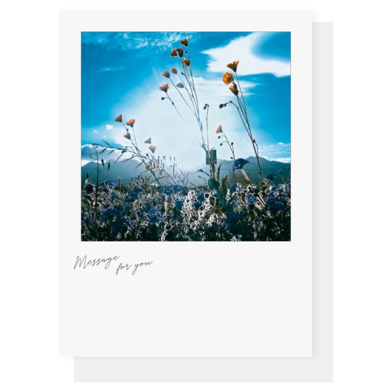 �������ݥ��ȥ�����(������)  #�����٤�֡�