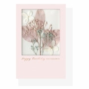 �ե������ѥ�åȥ����� �С����ǡ��ԥ󥯥١�����