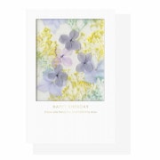 �ե������ѥ�åȥ����� �С����ǡ��ۥ磻��