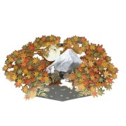 �����ݥåץ��åץ����� ��Ȥ�����