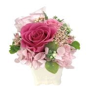 �ץꥶ���֥ɥե�/�����ܥ꡼�١���S �ԥ�