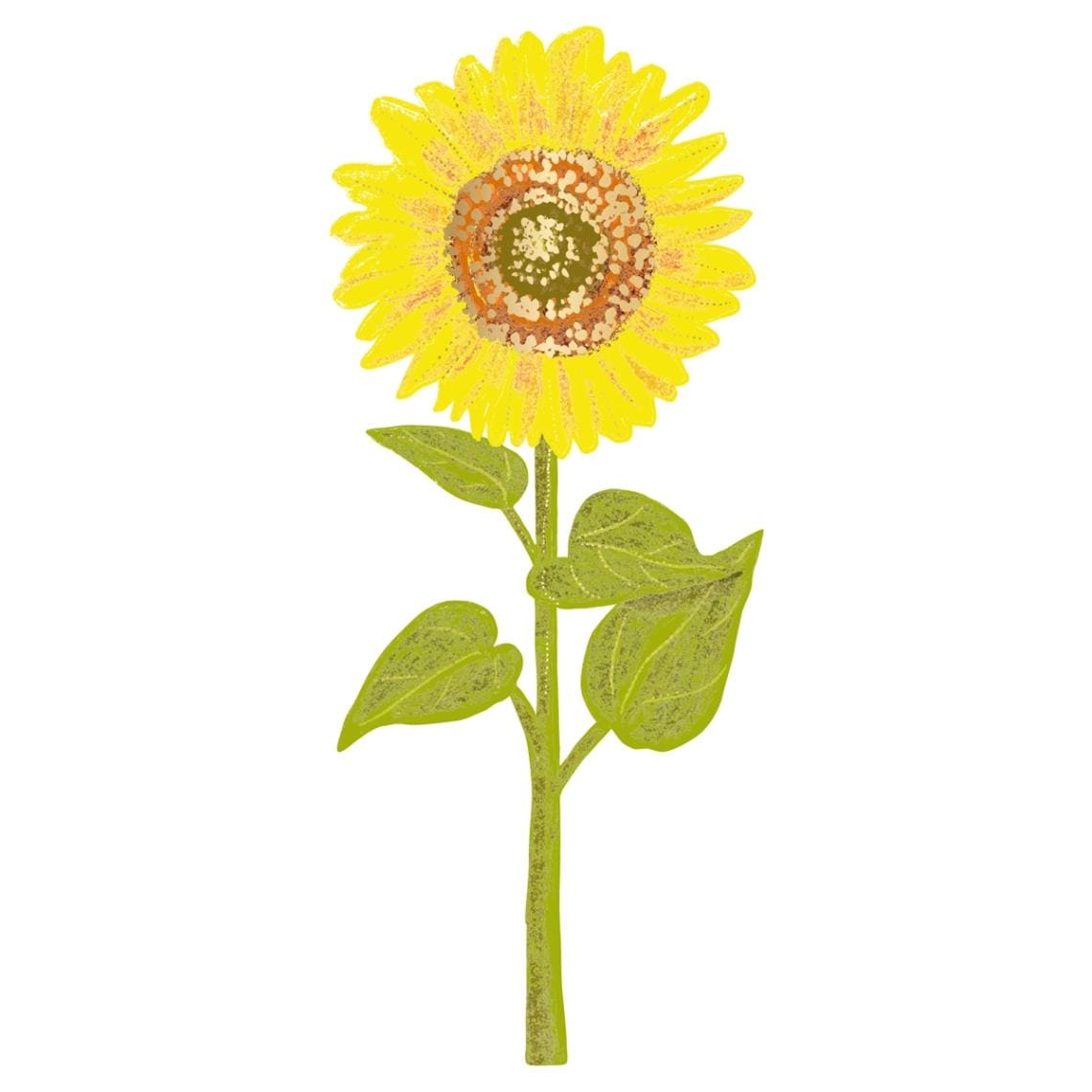 フラワーパーツ/ルイーズ・カニンガム/ ひまわり | ステーショナリー