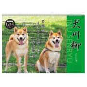 2026ǯ�������� ������