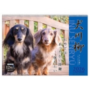 2026ǯ�������� ���å�������