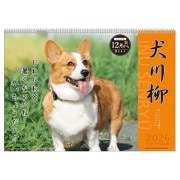 2026ǯ�������� ������������