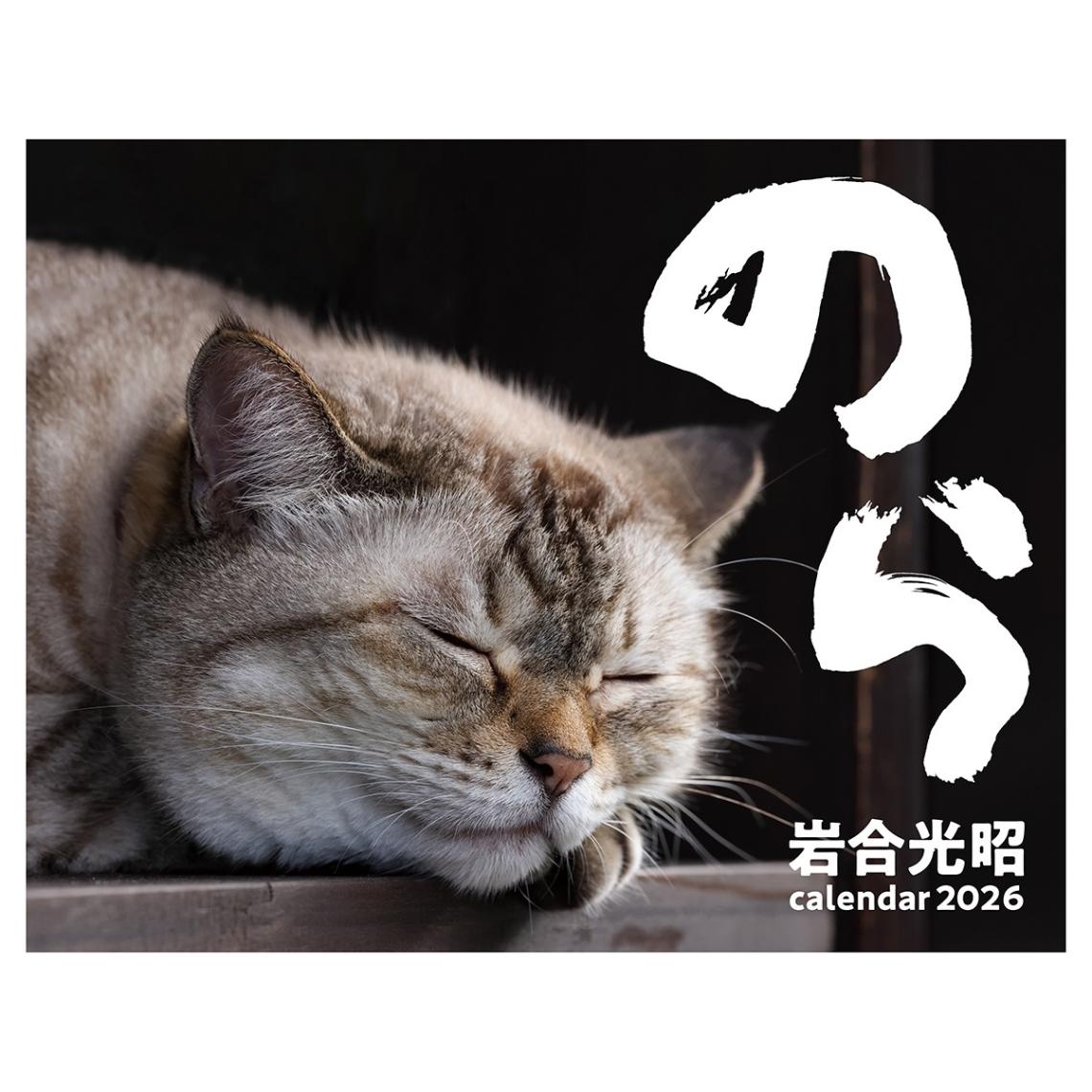 昭和レトロなネコ 箱入☆蝶追いニャンコちゃん☆ネコ☆昭和レトロ☆ねこ☆ゼンマイ