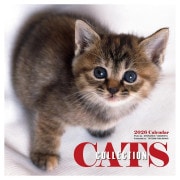 2026ǯ ä̦/Cats Collection ɧ 