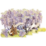 �ե��饤�ɥݥåץ��åץ�����/ƣ��ǭ 