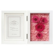 �졦�ڥ���ե��ȥե졼��/����ӥ�W/�ե륿���� �ԥ�