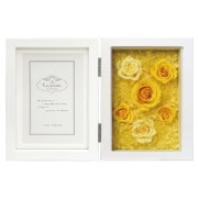 �졦�ڥ���ե��ȥե졼��/����ӥ�W/�ե륿���� ��������