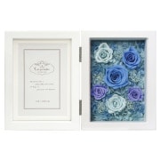 �졦�ڥ���ե��ȥե졼��/����ӥ�W/�ե륿���� �֥롼