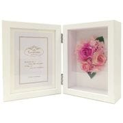 �졦�ڥ���ե��ȥե졼��/����ӥ�W �ԥ�