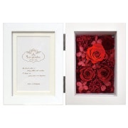 �졦�ڥ���ե��ȥե졼��/�����ӥ�LW/�ե륿���� ��å�