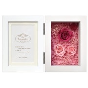 �졦�ڥ���ե��ȥե졼��/�����ӥ�LW/�ե륿���� �ԥ�