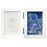 �졦�ڥ���ե��ȥե졼��/�����ӥ�LW/�ե륿���� �֥롼