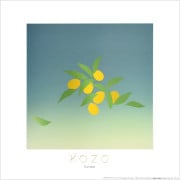 ������ �ݥ����� �⿧�Τ������OP-160
