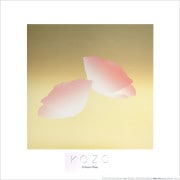 ������ �ݥ����� �Х鿧�γ���OP-161