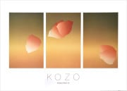 ������ �ݥ����� PO-014						