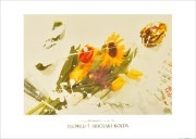 �����˾� �ݥ����� FLOWER-5A2830