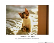 ����͡ �ݥ����� SOMETHINGNEWPT-1