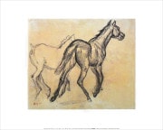 ���ɥ������ɥ� �ݥ����� Horses(1882)VR372