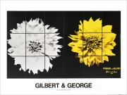 ����С���&���硼�� �ݥ����� A3377