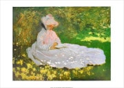 �������ɡ���� �ݥ����� ��(1872)FK17