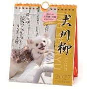 ��ͽ���2027ǯ ��������� �������� (���᤯���