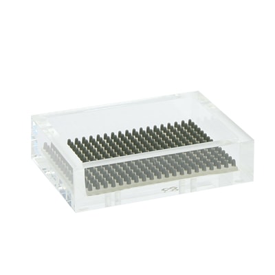 ������ �����ץȥ졼���졼