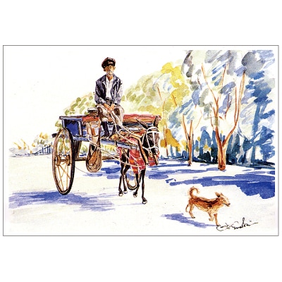 ���ڹ��� �ݥ��ȥ�����