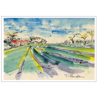 ���ڹ��� �ݥ��ȥ�����