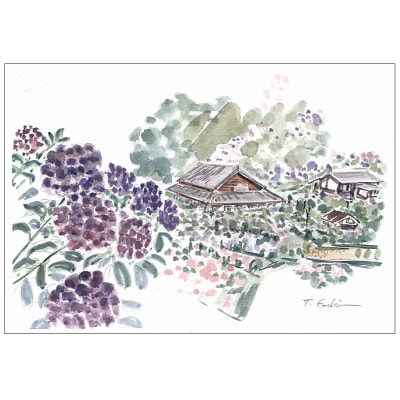 ���ڹ��� �ݥ��ȥ�����