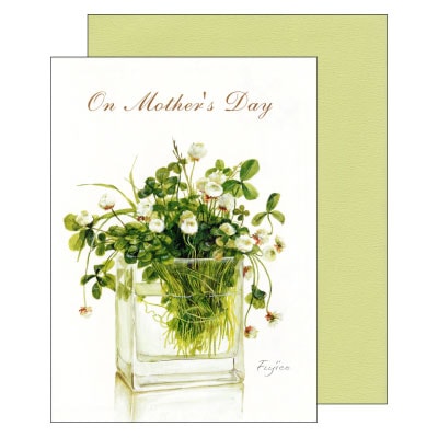 ��������ҥ��꡼�ƥ��󥰥����� �������С�