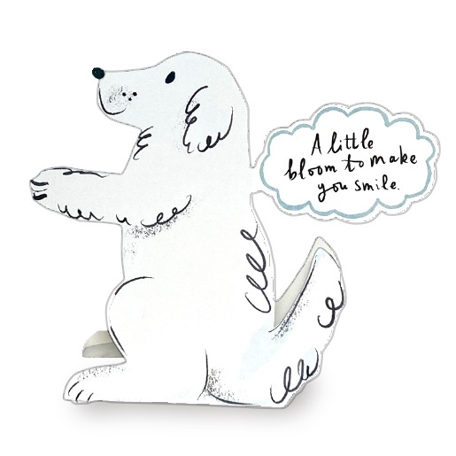 �ե��ѡ���/���˥ޥ륹�����/����