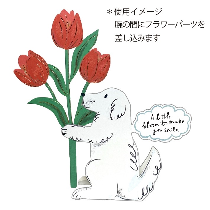 �ե��ѡ���/���˥ޥ륹�����/����