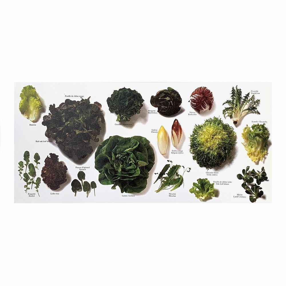 ���󥰥������ݥ��ȥ����� N758