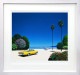 �ʰ��� ����(�ǲ���մ�����/�����졼) Yellow Breeze 10791