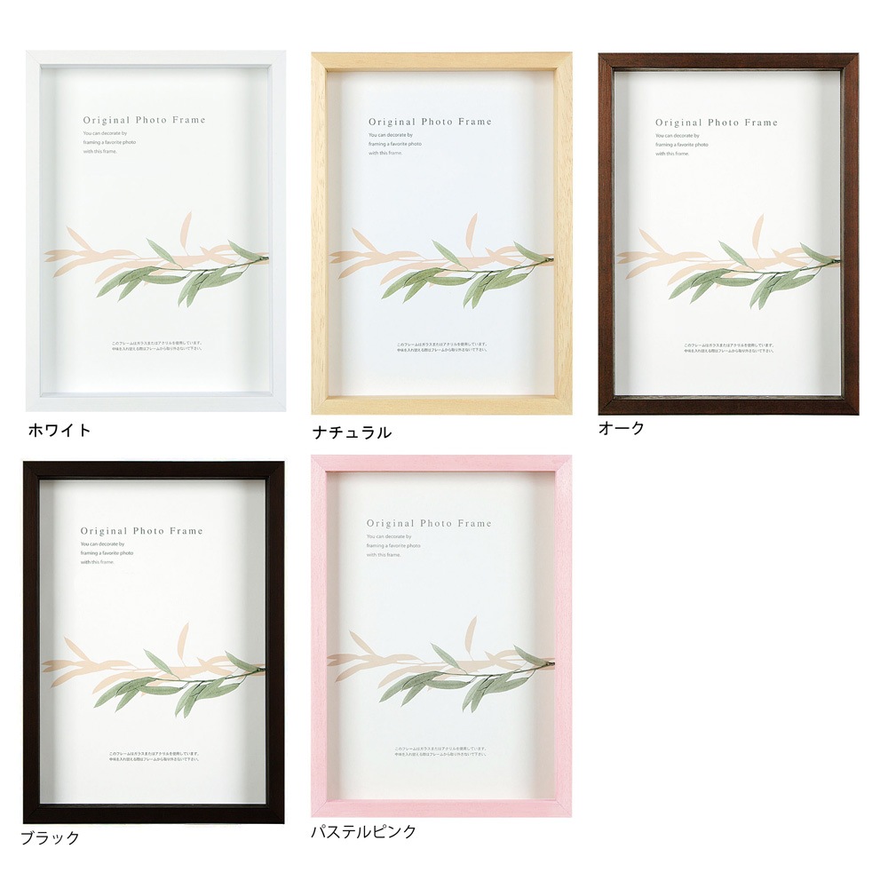 B5 BOX��/�����ȥܥå����ե졼��ʹ⤵��50������ B5��������182��257mm��