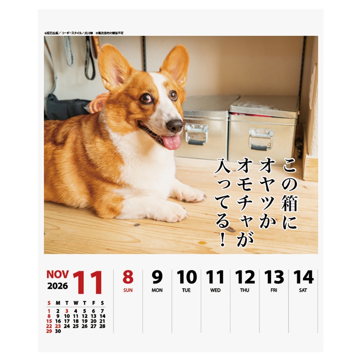 オーダー受付　コーギー　ご予約ページ　10/8 オーダー受付 コーギー ご予約ページ 10/8