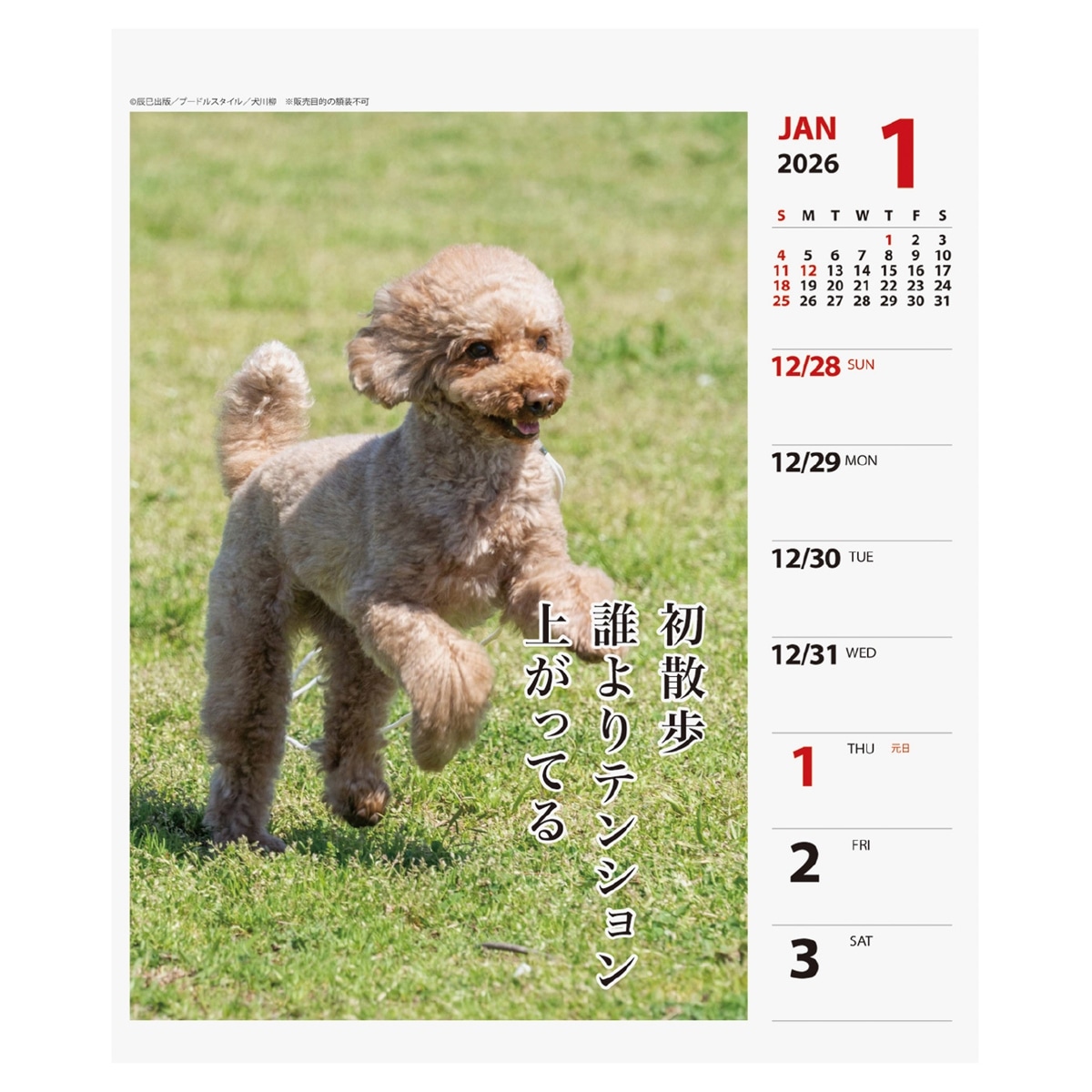 2026年カレンダー プードル川柳(週めくり) | カレンダー,犬猫川柳,犬