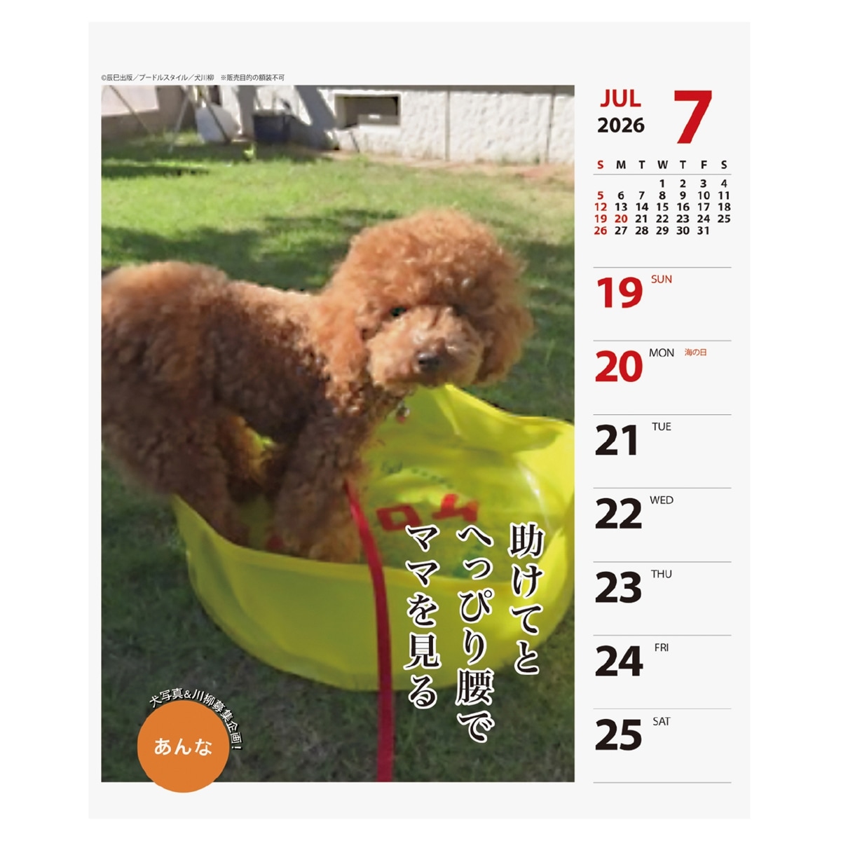 2026年カレンダー プードル川柳(週めくり) | カレンダー,犬猫川柳,犬