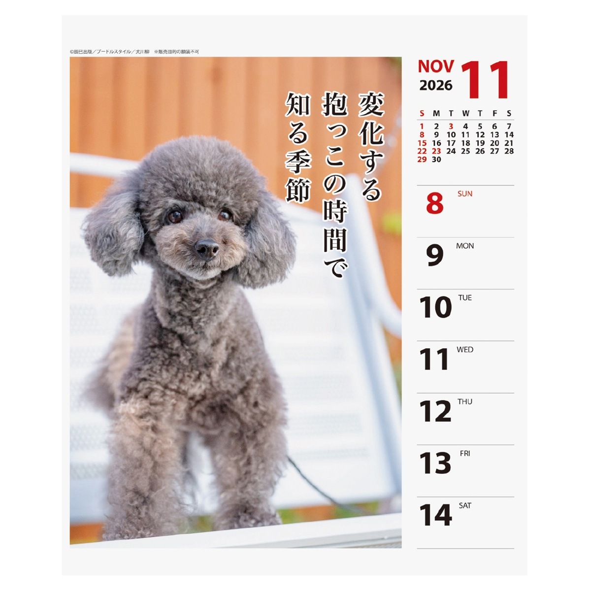 2026年カレンダー プードル川柳(週めくり) | カレンダー,犬猫川柳,犬