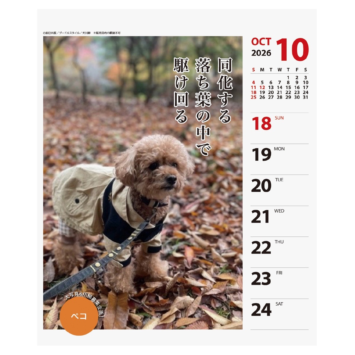 2026年カレンダー プードル川柳(週めくり) | カレンダー,犬猫川柳,犬