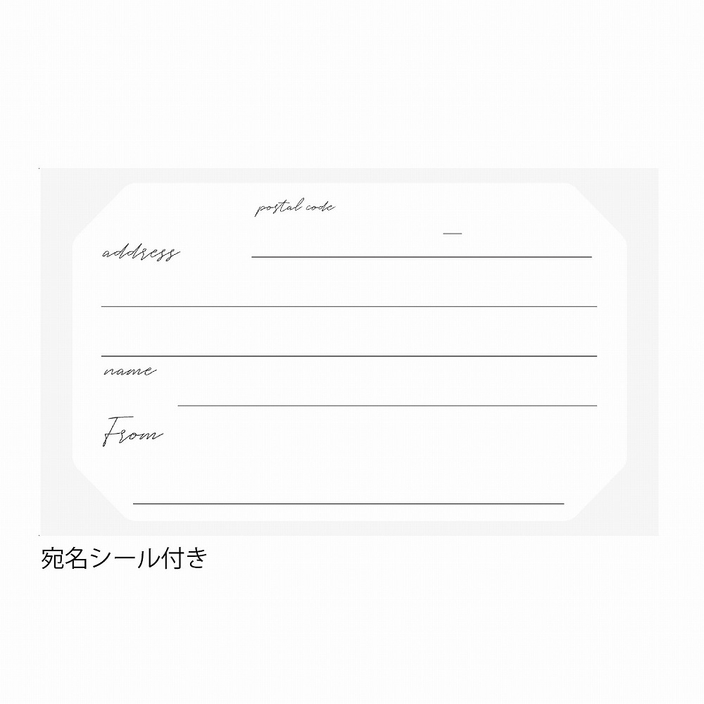�������롼������ �����������ǥ� �ߥå���