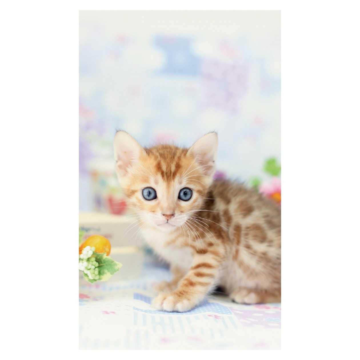 2026年カレンダー 仔猫(卓上) | カレンダー,動物,猫,仔猫(卓上