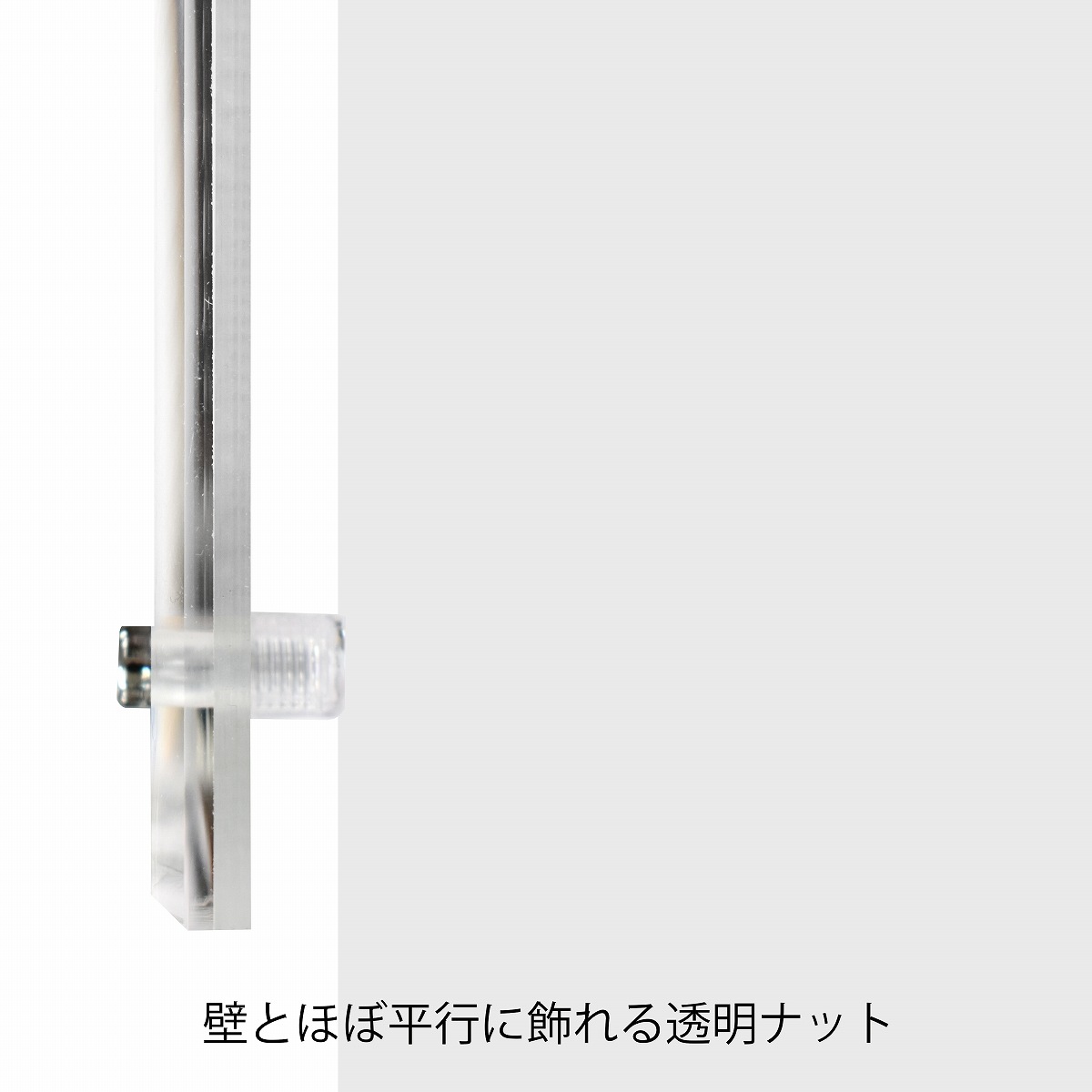 �������ե졼��/�ե������ե����֥ե졼�� ���ꥢ 220��310mm