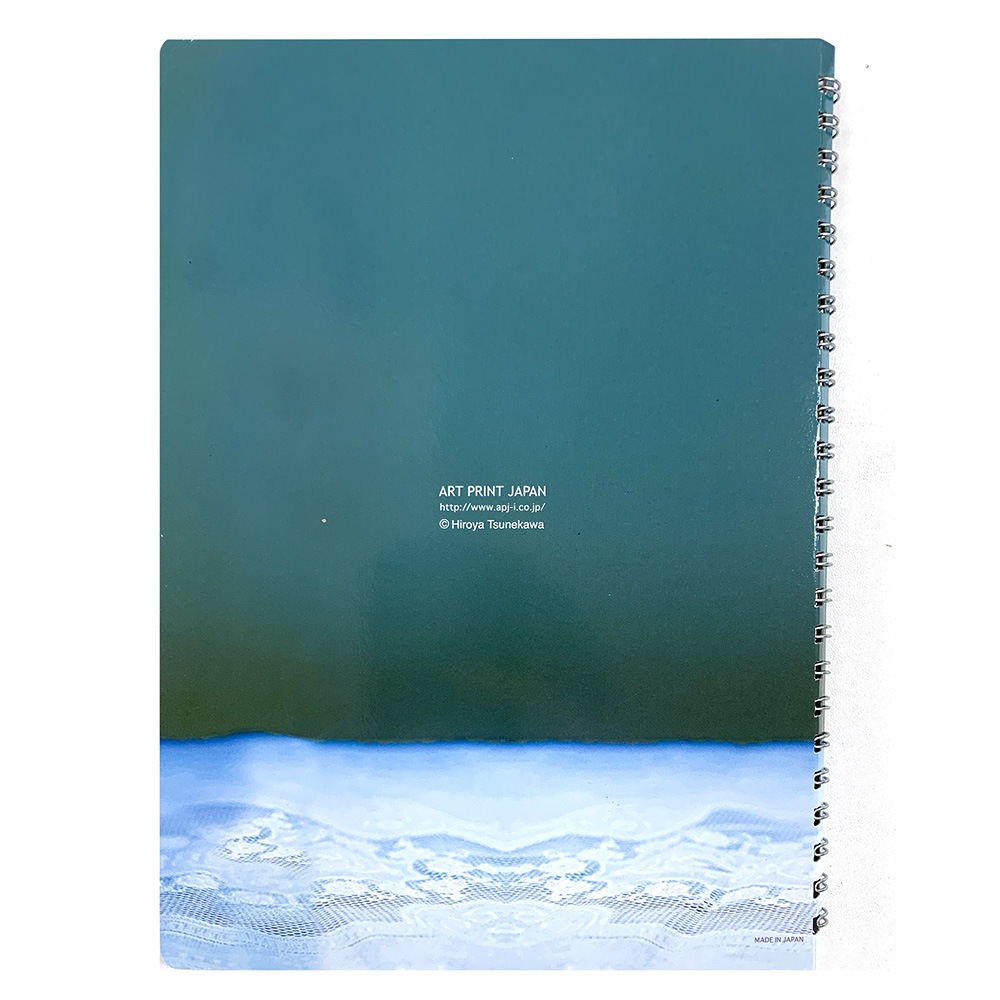 ι������� ��󥰥Ρ���/���꡼��